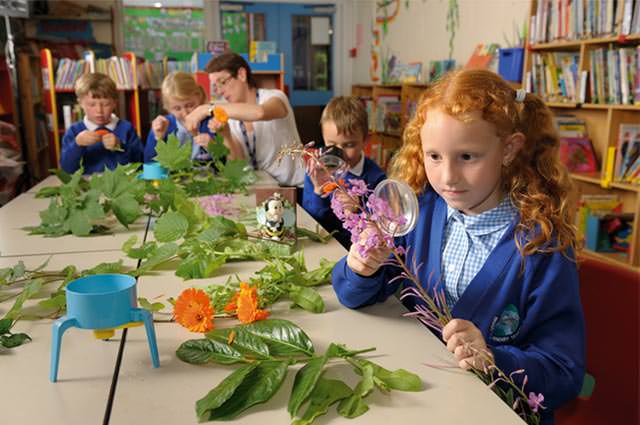 Biggin Hill Primary School, Bromley, London